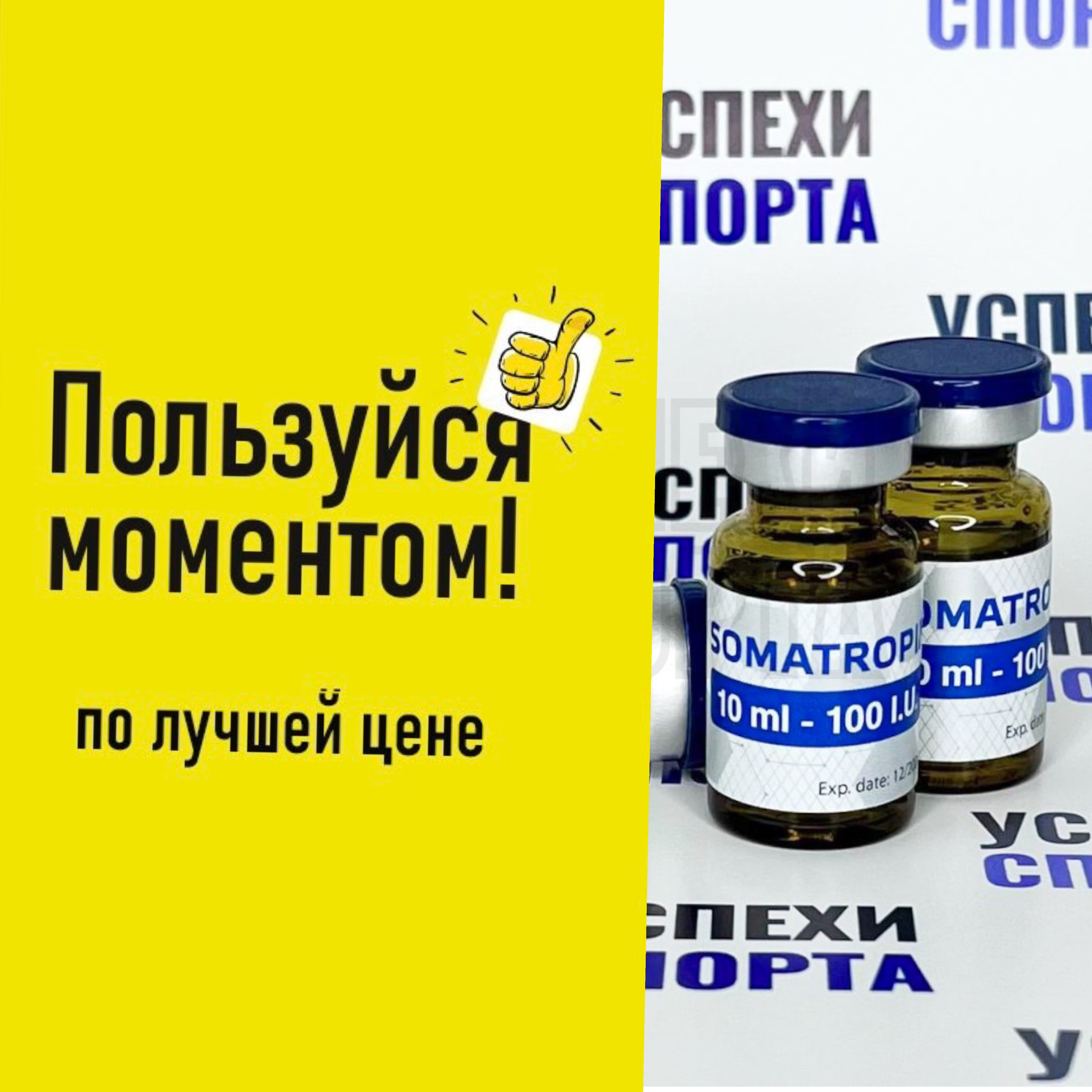 Nordex Комплект - 1000ед (Жидкая форма) 10 виал по 100ед. АКЦИЯ